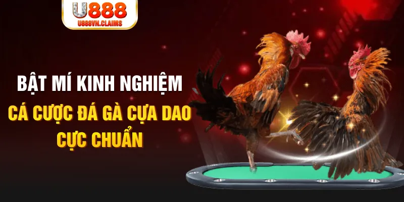 go8 vin trong baccarat, ai là người chia bài chính？
