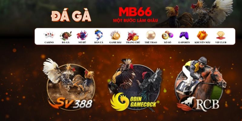 go8 vin Bài Poker Hoàn Toàn Mỹ