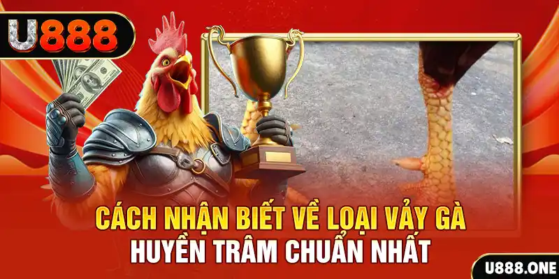 go8 vin Chú hề Patty tuổi teen