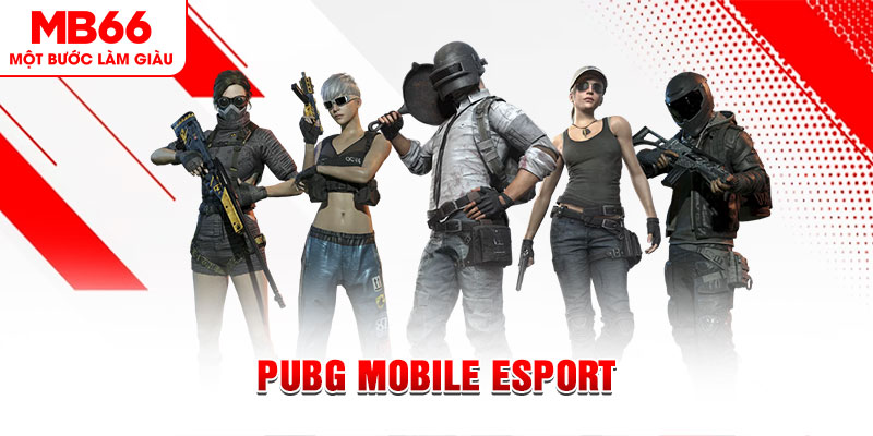 go8 vin gà chọi c1 mới nhất