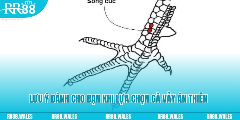 go8 vin how to play roulette at casino