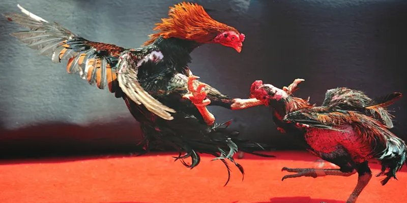 go8 vin đăng nhập nổ hũ số 1