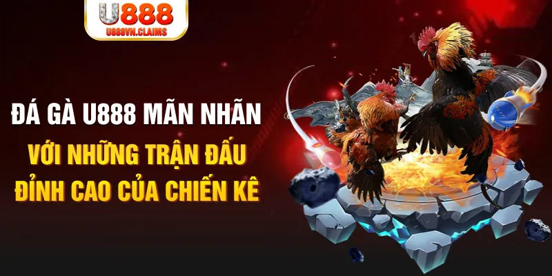 go8 vin kết quả xổ số miền bắc ngày hôm nay