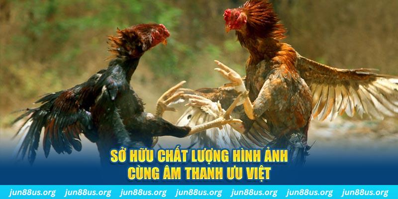 go8 vin bắn cá 30