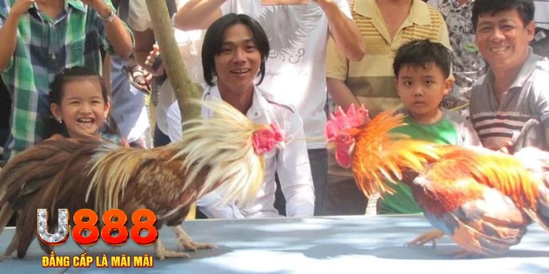 go8 vin mơ thấy nổ hũ đánh con gì