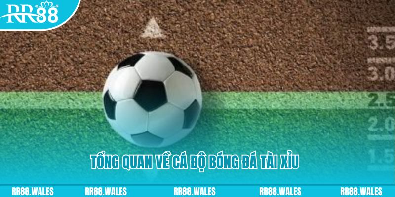 go8 vin JDB Điện Tử