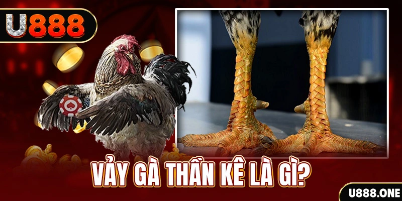 go8 vin xổ số miền bắc thứ tư hàng tuần