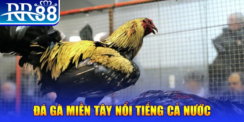 go8 vin đăng nhập liêng miễn phí