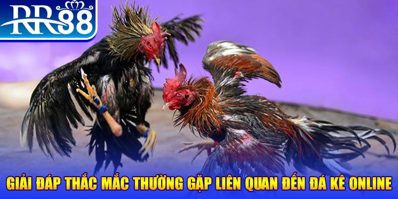 go8 vin đăng nhập phỏm tặng tiền