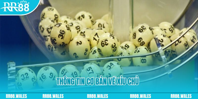 go8 vin baccarat long bảo là gì