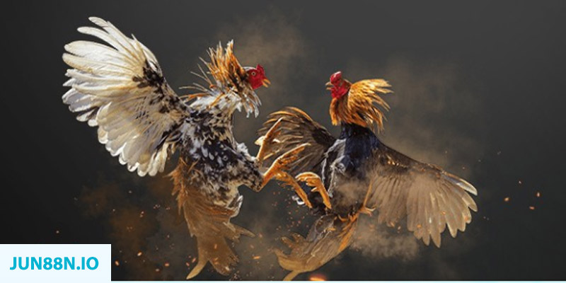 go8 vin đăng nhập sòng bạc miễn phí