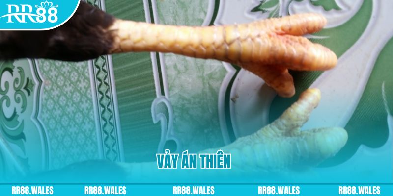 go8 vin who wants to be a millionaire slot