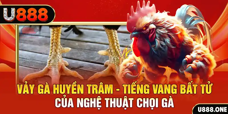 go8 vin xổ số ba miền hôm nay