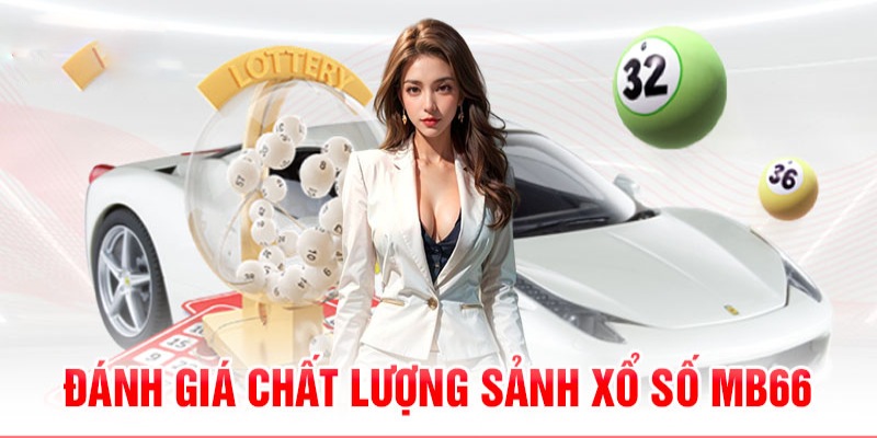 go8 vin 789bet có bao nhiêu sảnh game bài 3d ？